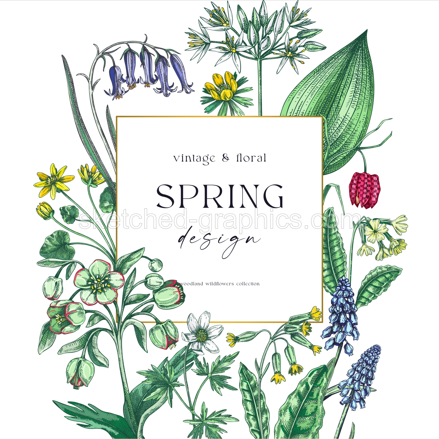 Spring wreath design. Wildflower sketches Floral cards, wedding invitations, wild flower background. Hand-drawn vector illustration, NOT AI-generated Illustration